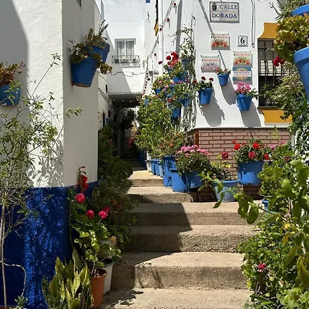 דירה Susurros Del Mar קוניל דה לה פרונטרה